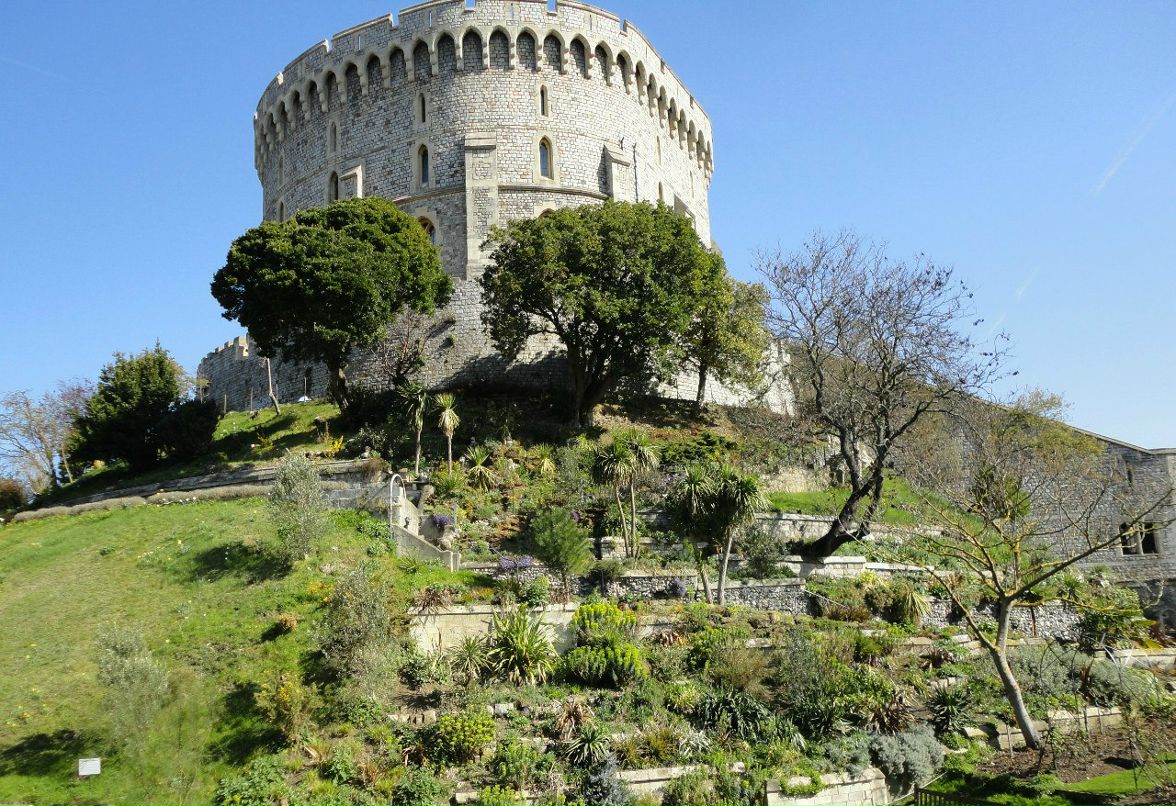 Анна Сватовская | Санкт-Петербург
