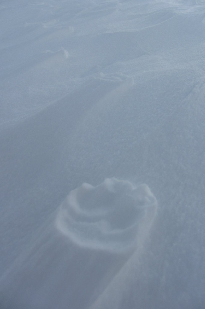 Арсений Петрик | Харьков