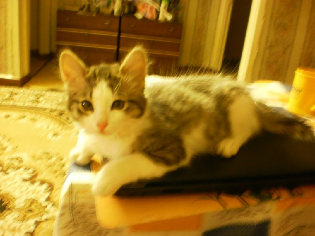 Зинаида Гусева | Макеевка