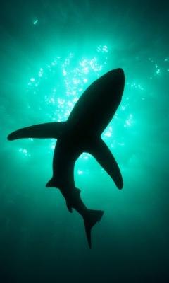 Мария Попова | Петрозаводск