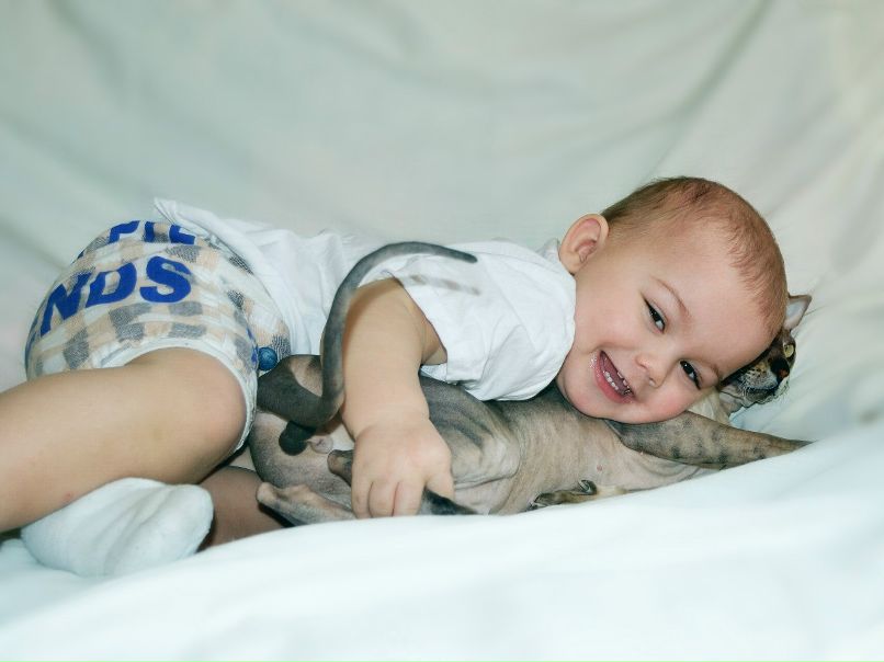 Татьяна Мирошниченко | Находка