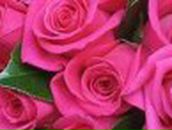 Юлия Прожорина | Шахтерск