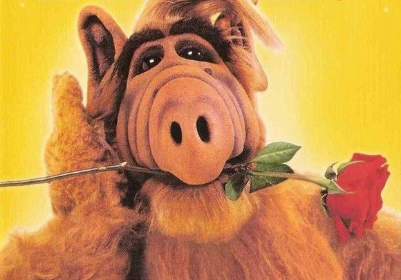 Евгений Наивный 神風 | Петрозаводск