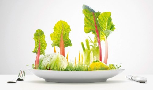 Маша Бульбан | Хмельницкий