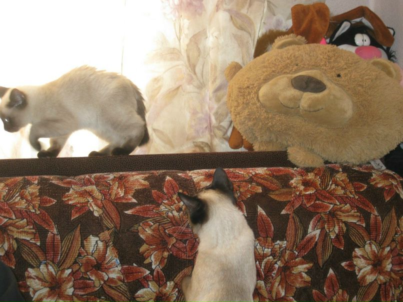 Марина Маркова | Санкт-Петербург