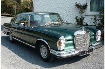 Таня Симон | Frankfurt am Main