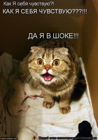 Сергій Давидов kardik | Киев