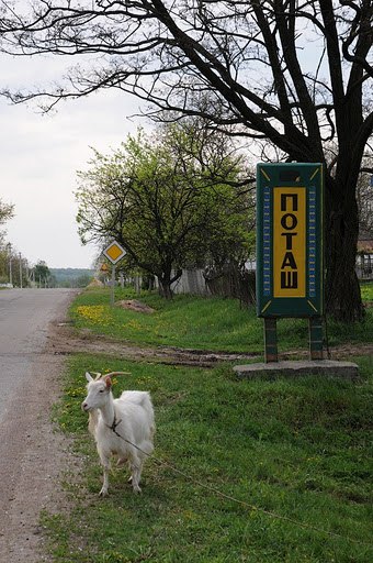 Гріша Білецький ***__ PC_BR@XM@n __BOM$#M@N*** | Львов