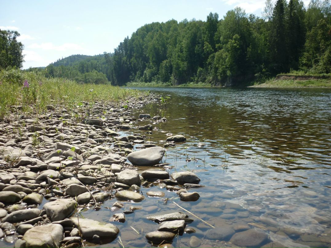 Анастасия Рахимкулова | Уфа