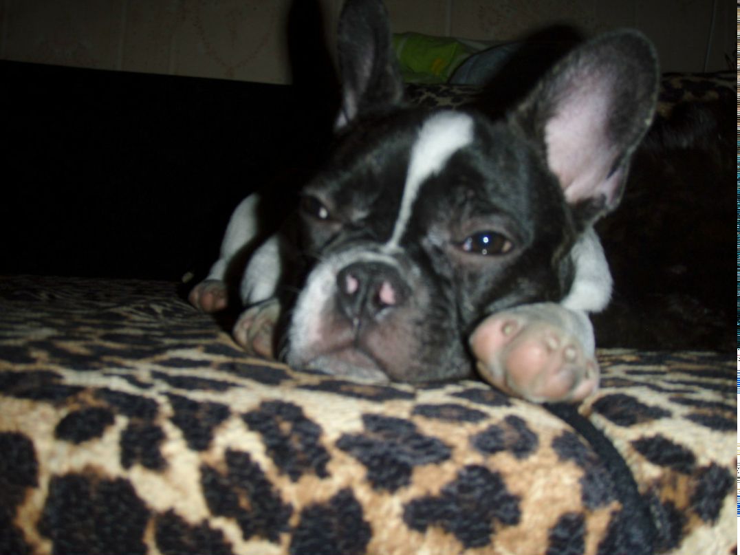 Гульсина Заяц | Санкт-Петербург