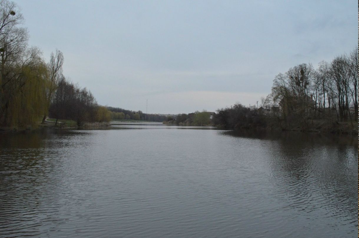 Сергій Дудін | Винница