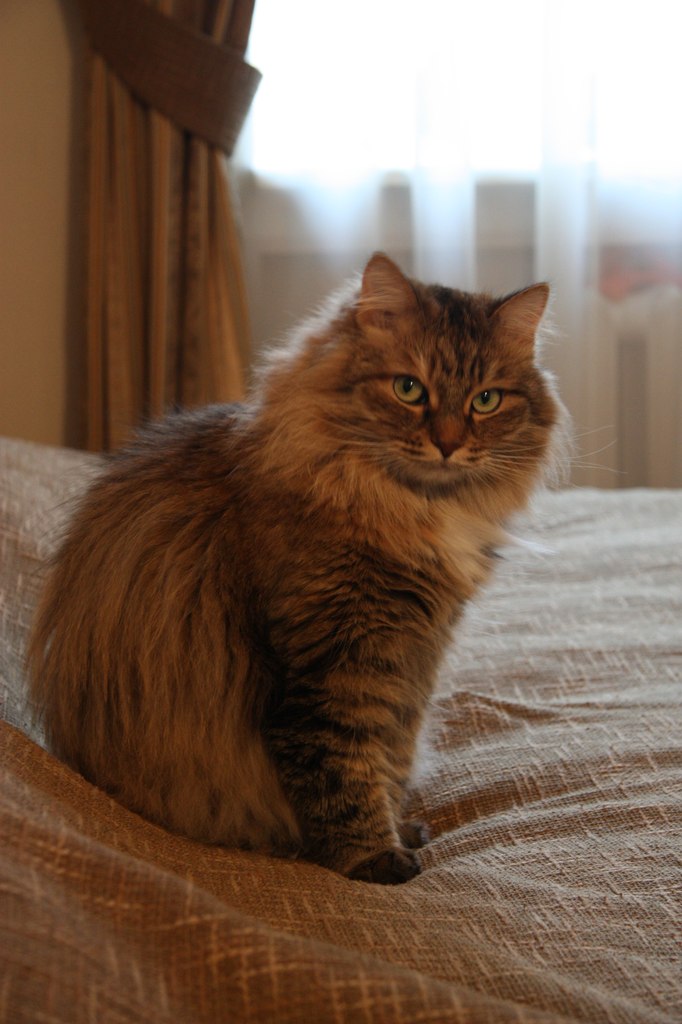 Александра Зумынски | Санкт-Петербург