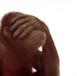 Вячеслав Грибачёв | Киев