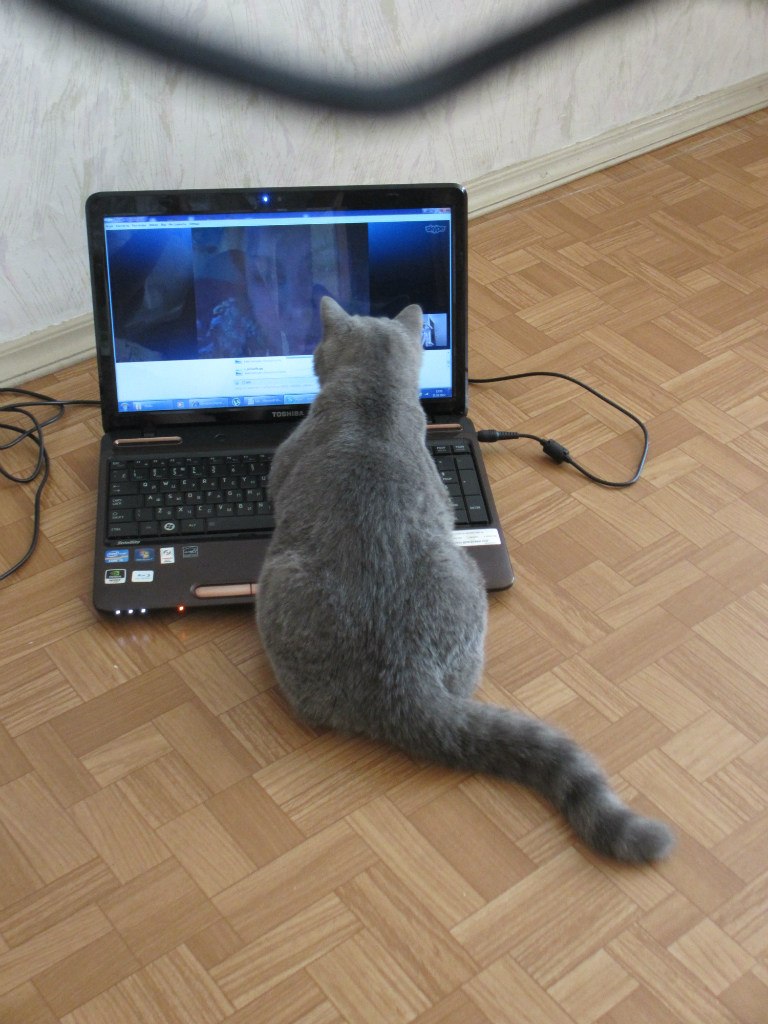 Павел Яковлев | Санкт-Петербург