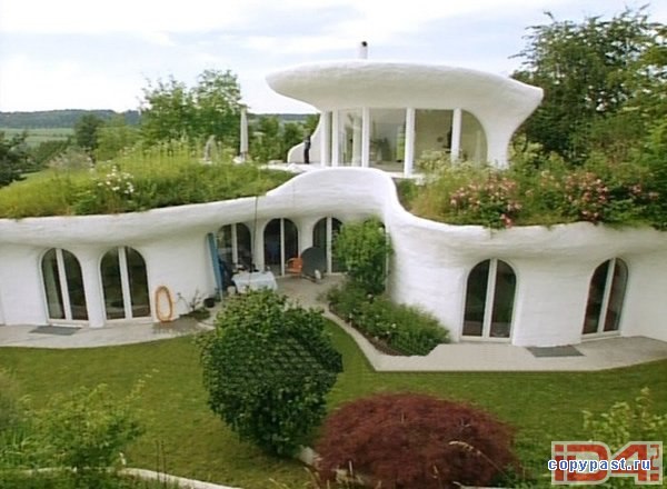 Николай Добринский | Санкт-Петербург