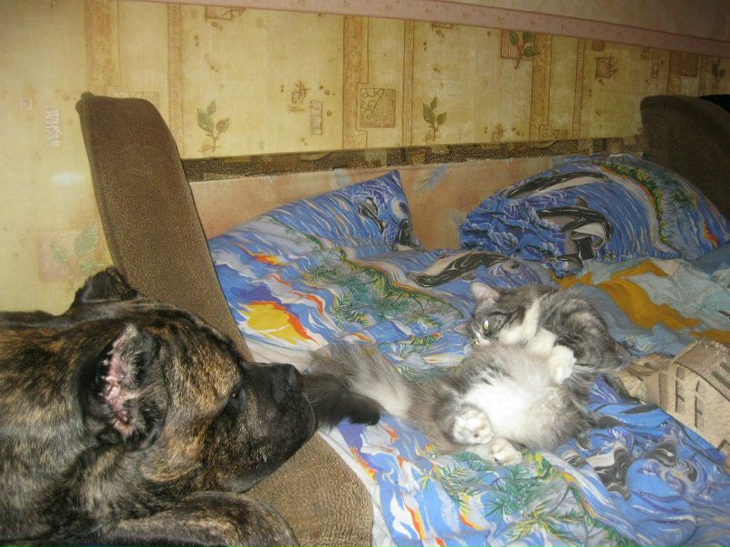 Sergey M. | Санкт-Петербург