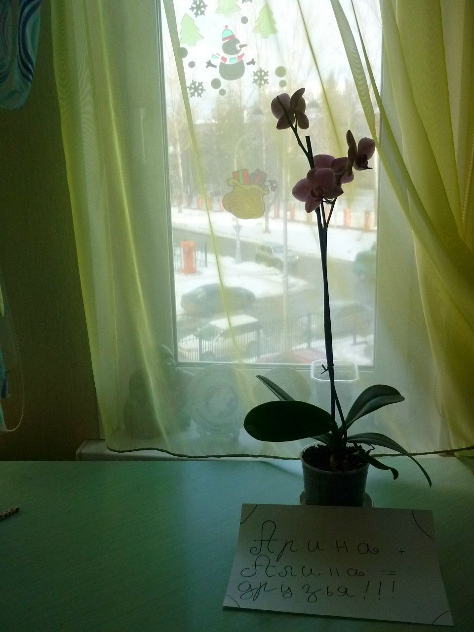 Алина Рябикова | Воскресенск (село)