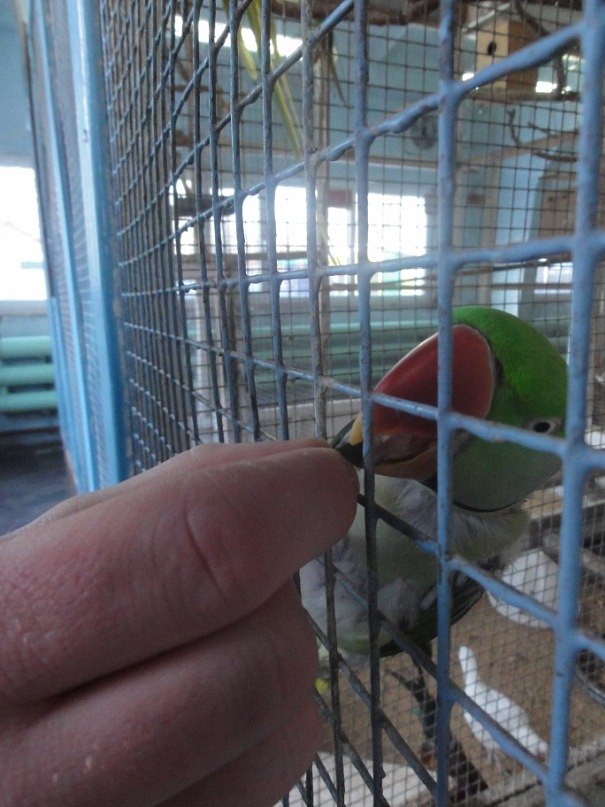 Руслан Зибров | Петропавловск-Камчатский