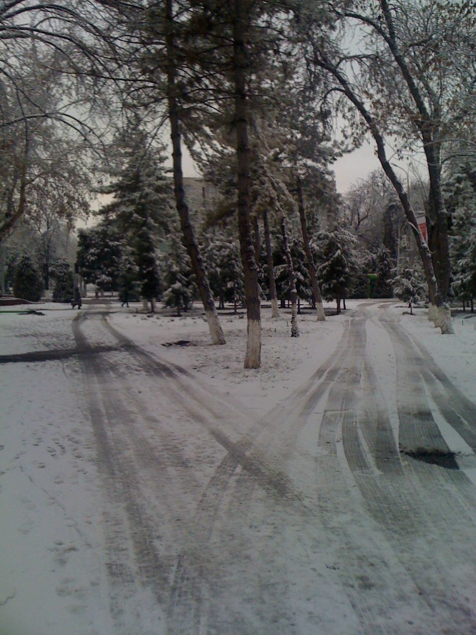 Sergey Ibragimov | Ташкент