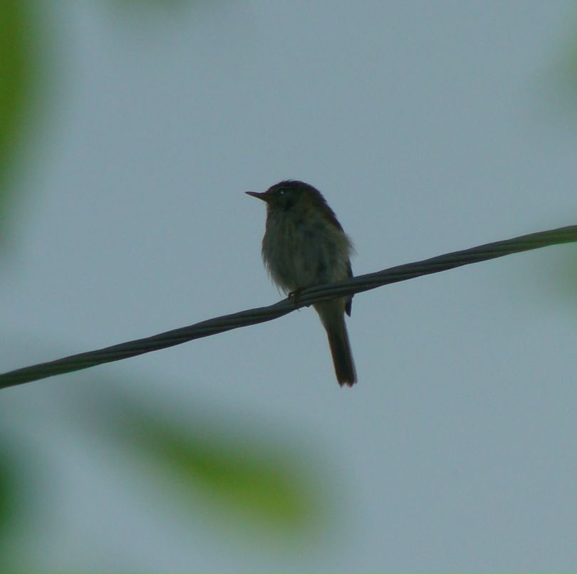 Екатерина Манкевич | Москва