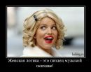 Фотография Хвойное Дерево