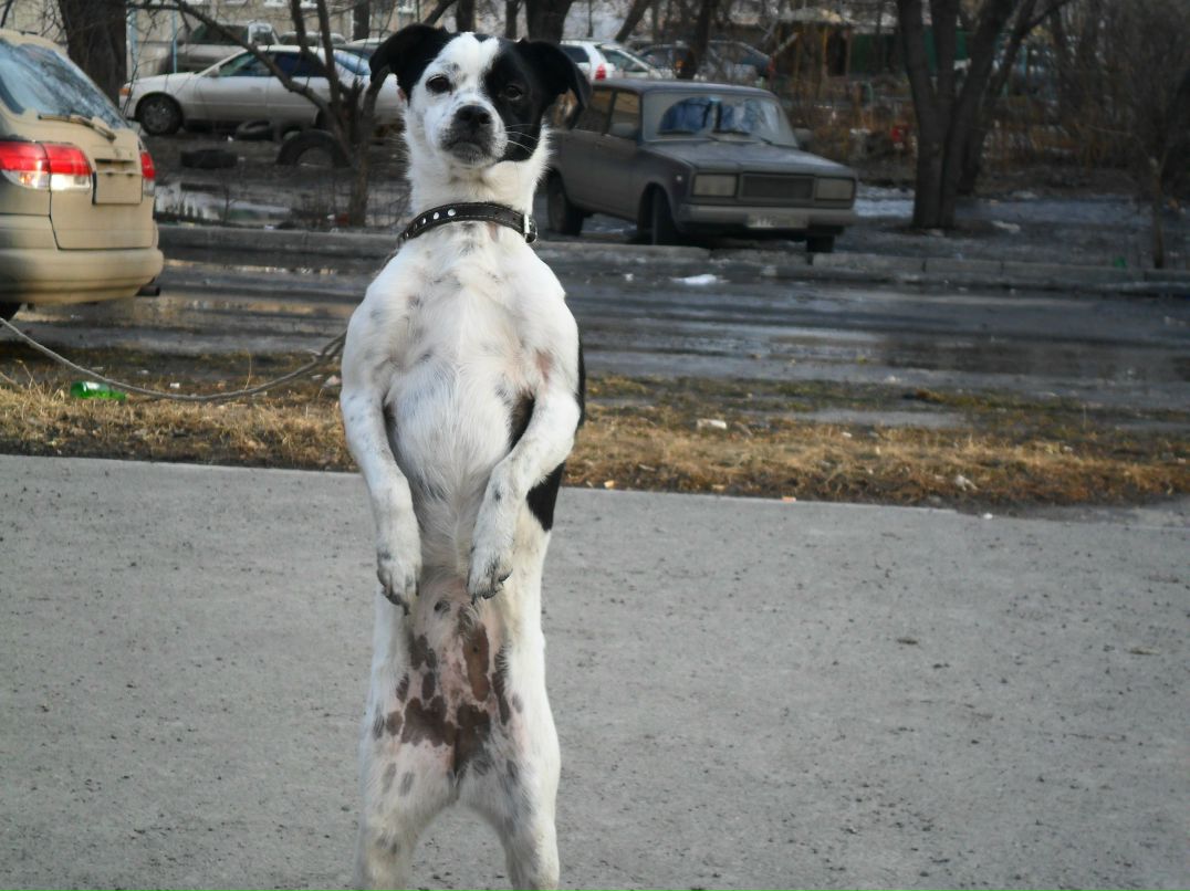 Денис Калашников ™_˙·٠•●๑۩2011۩๑●•٠·_™ _˙·٠•●๑&a | Красноярск