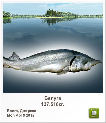 Николай Савин | Рига