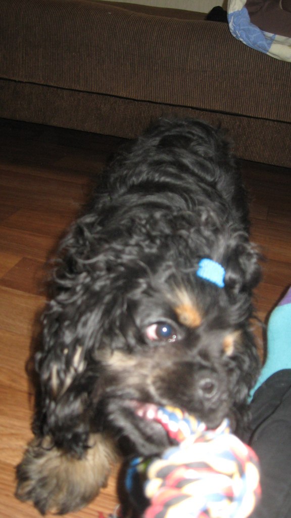 Анастасия Клименко ツ♥ツ♥ツкуклаツ♥ツ♥ツ | Краматорск