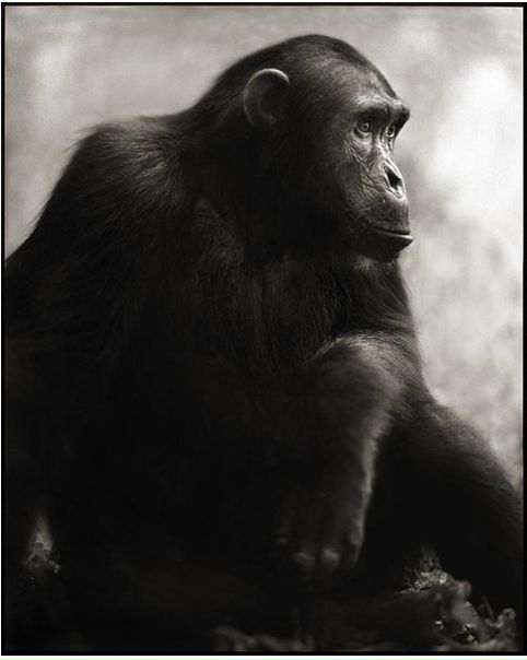 №78, Павел Рябов-Корсаков, Санкт-Петербург №78, Павел Рябов-Корсаков, Санкт-Петербург