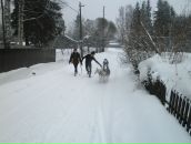 №14 Светлана Ларионова 04.04: профиль, фото, статус - ВКонтакте