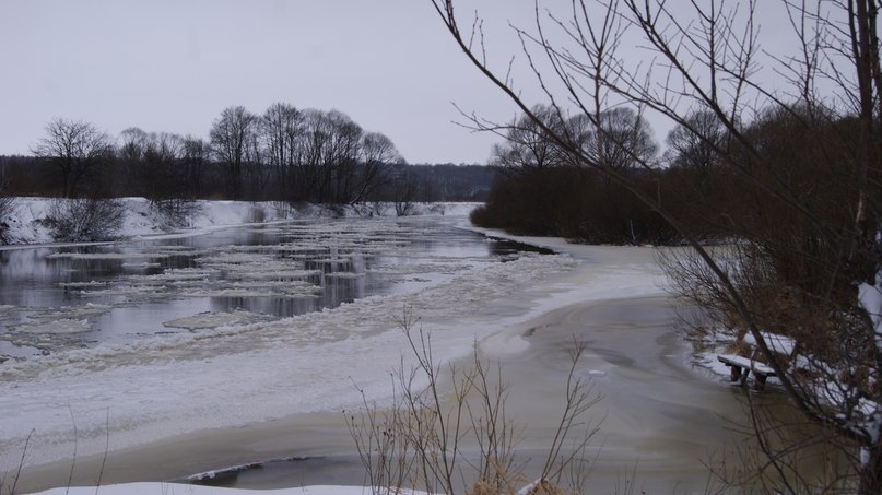 Надежда Коваленко | Брянск