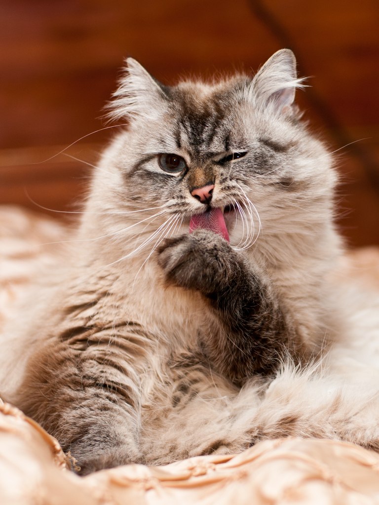 Полина Ртищева-Суханова | Москва