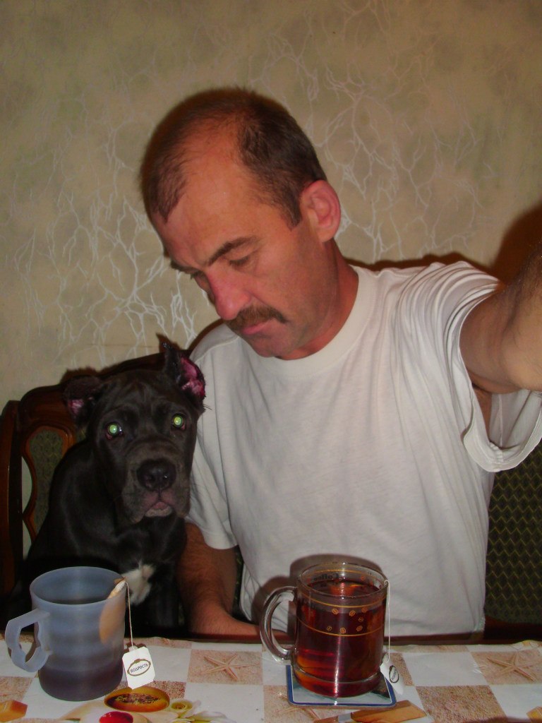 Анастасия Абросимова | Тула