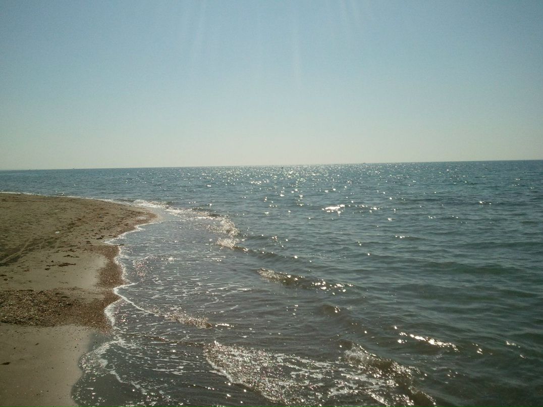 Елена Малярчук | Санкт-Петербург