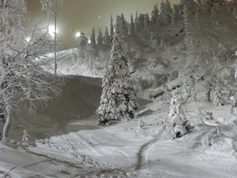 Татьяна Юсупова | Петрозаводск
