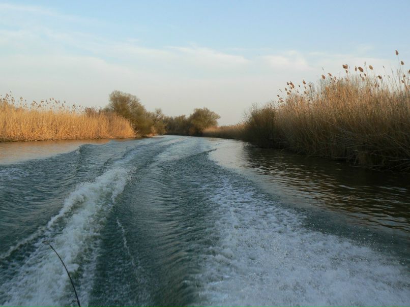 Сергей Рябов EldMaster | 