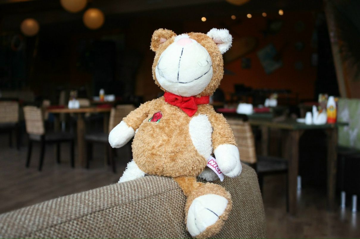 Виктория Паламарчук | Алматы