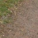 №184, Анжела Жужа, Евпатория №184, Анжела Жужа, Евпатория