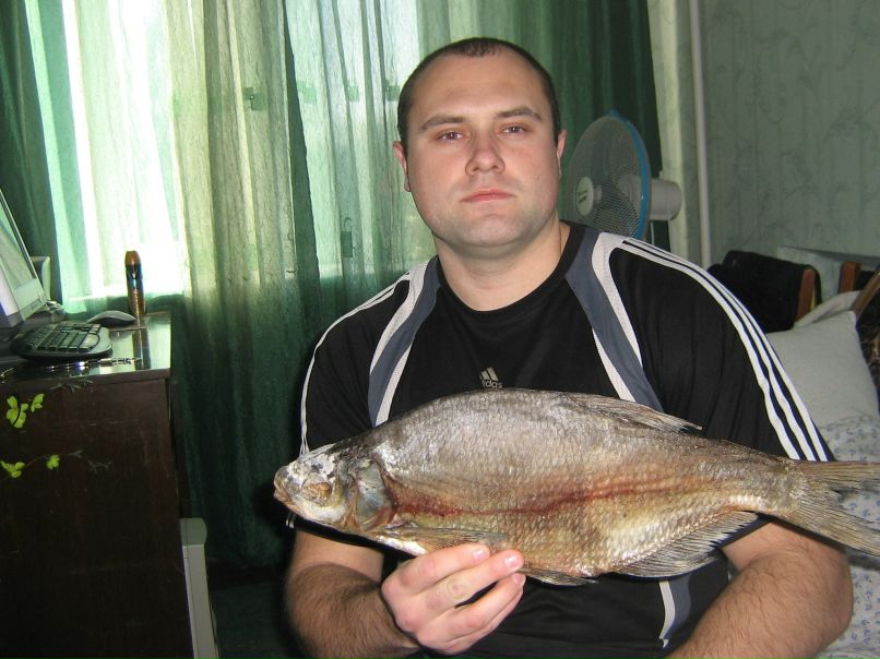 Олег Тарасов | Павлоград