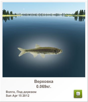 Санёк Сизов | Саратов