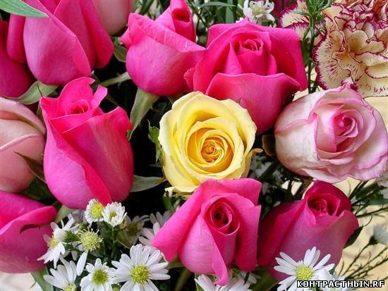 Юлия Архипова | Челябинск