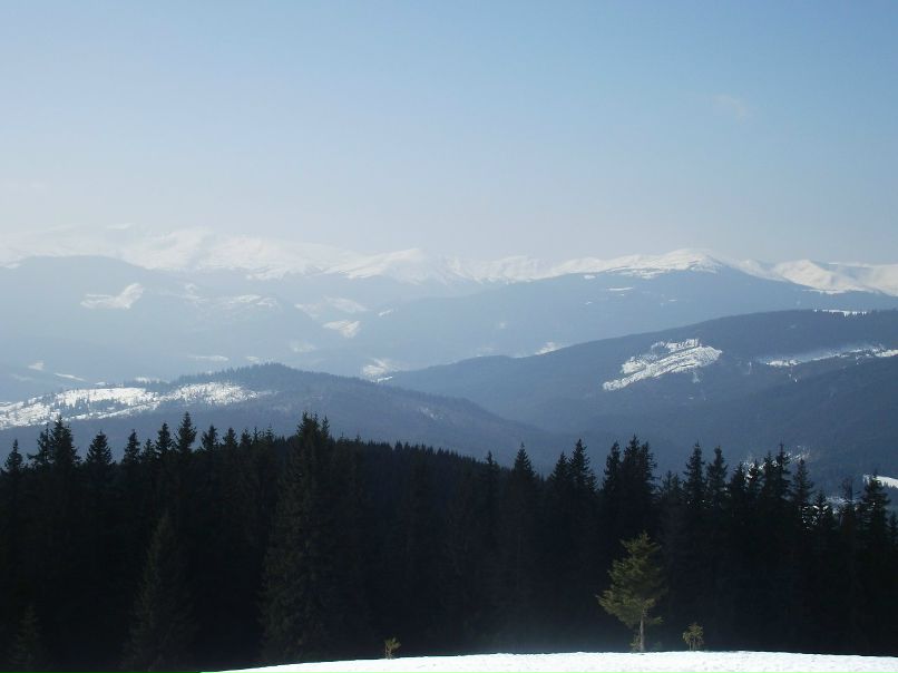 Дмитрий Ляльков | Минск