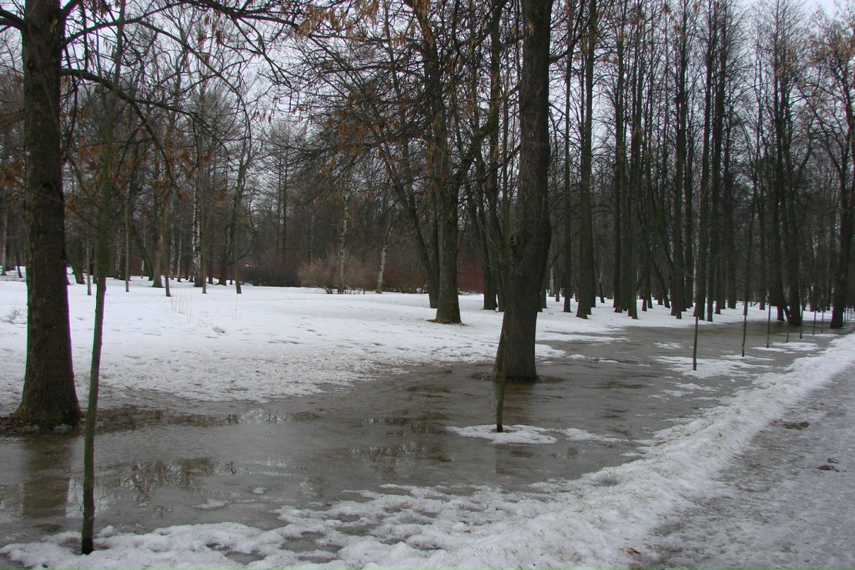Вера Панасенко | Санкт-Петербург