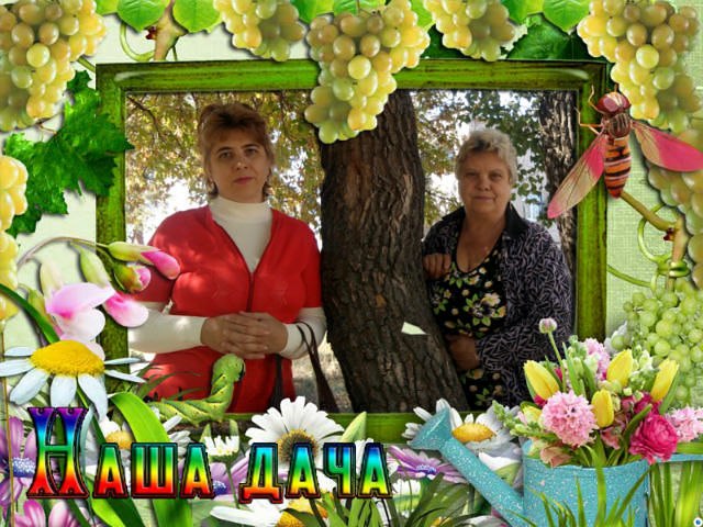 Елена Мазурина | Рубежное