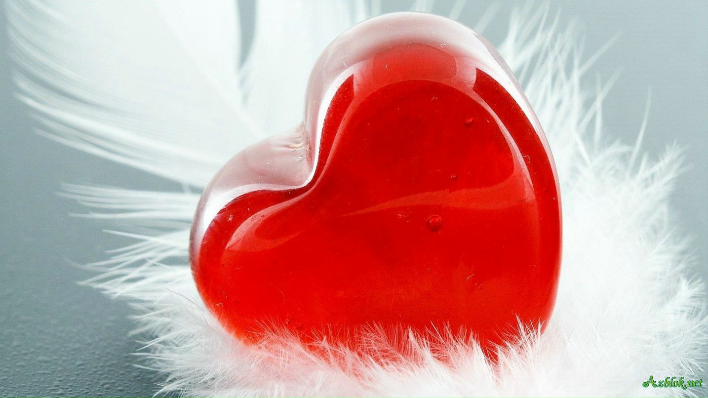 Влад Вдовин | Чагода (деревня)