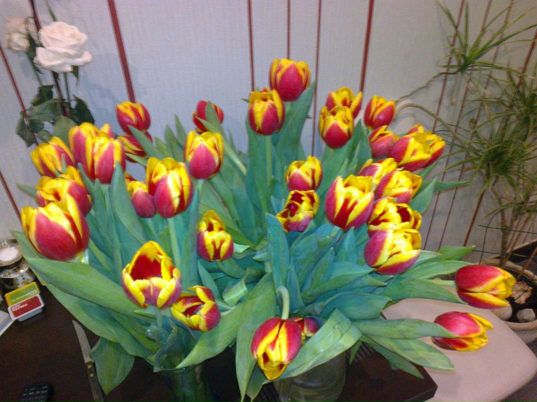 Анастасия С-на | Санкт-Петербург