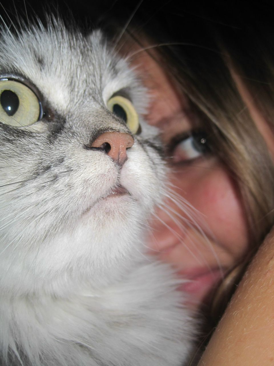 Аня Шеховцова | Курск