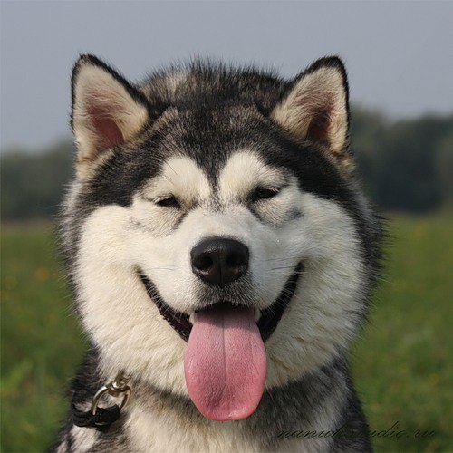 Евгения Котова | Самара