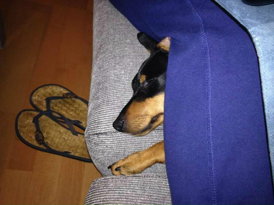 Юлия Алешкевич | Tarragona