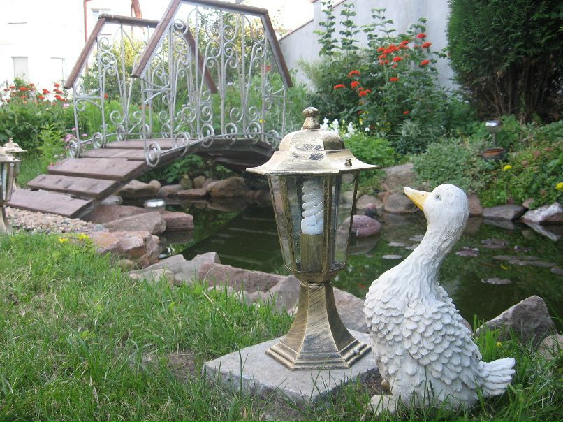 Елена Бортникова | Минск